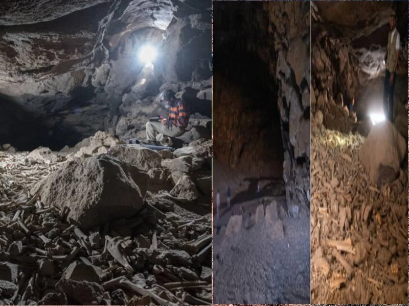 Découverte fascinante : Des humains occupaient des grottes volcaniques en Arabie saoudite depuis de