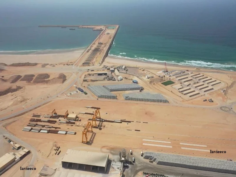Port Dakhla Atlantique : le megaprojet portuaire du Maroc dépasse 60 % d’avancement