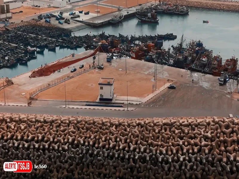 ALERTE TSGJB Port de Boujdour : plus de 150 millions de dirhams generes par la peche en neuf mois 