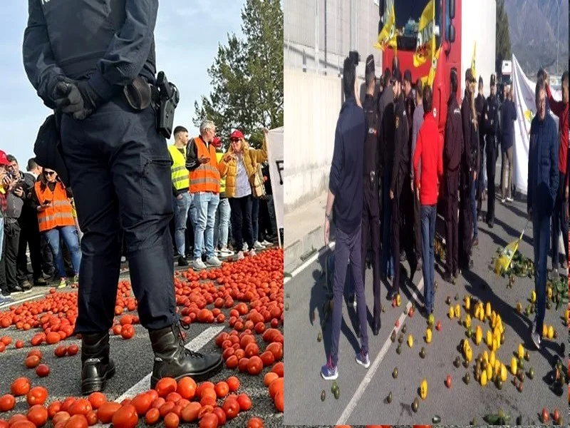 Le Maroc critique les actions des agriculteurs européens visant ses exportations de fruits et légumes