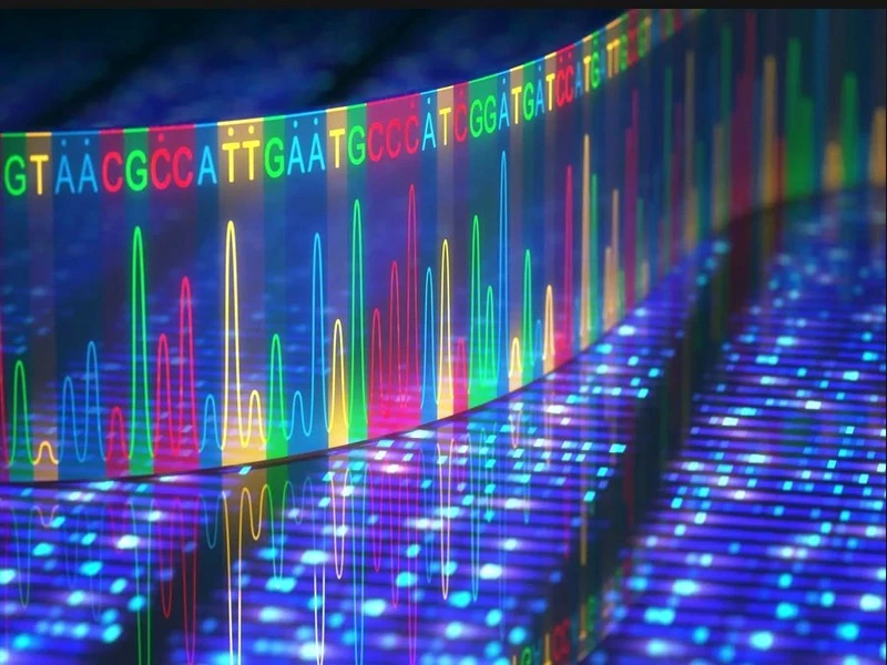 Un million de disques durs dans votre PC: l'ADN comme stockage numérique