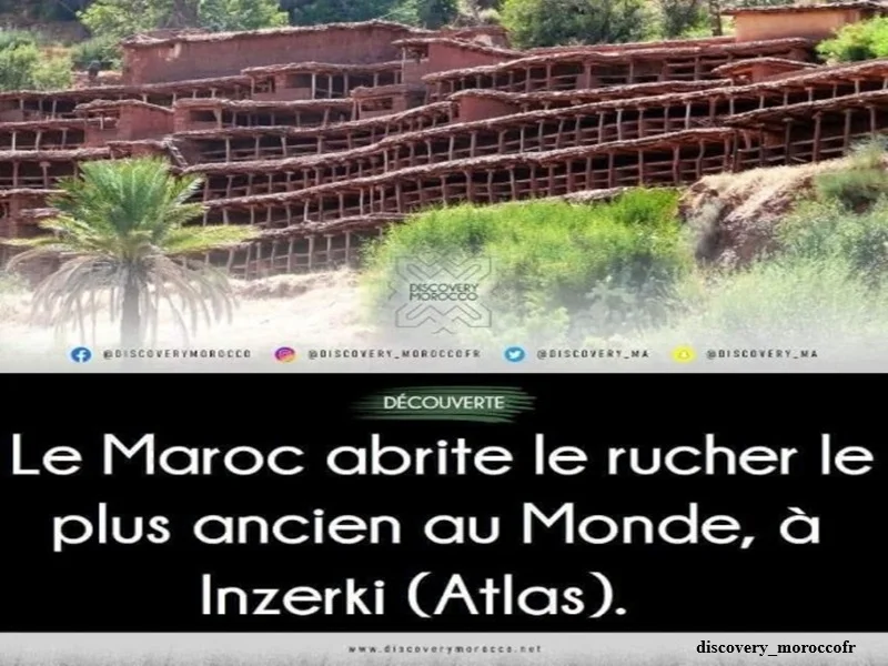 ALERTE TSGJB Inzerki : le plus ancien rucher collectif du monde