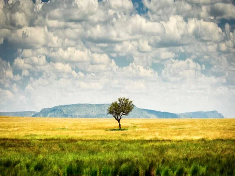 Détecter les Signaux Précoces des Points de Basculement Climatiques : Leçons du Sahara Vert