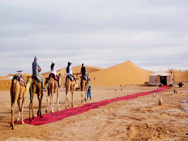 Maroc : un nouveau festival transforme les dunes en dancefloor en plein désert du Sahara