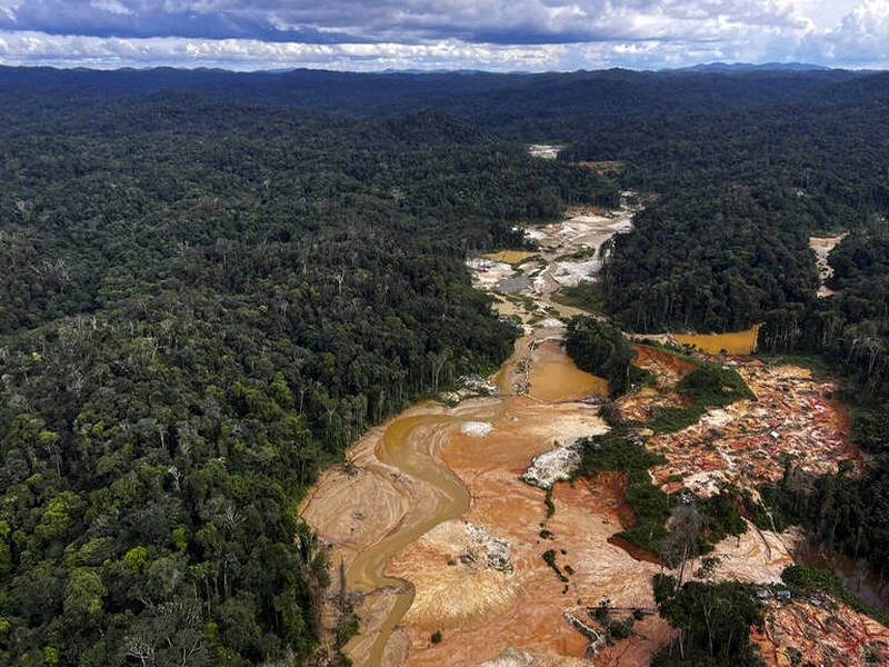 La déforestation mondiale progresse, avertit un rapport