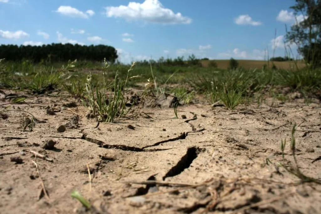 Sécheresse en France : près de 70 % du territoire soumis à des restrictions d’eau