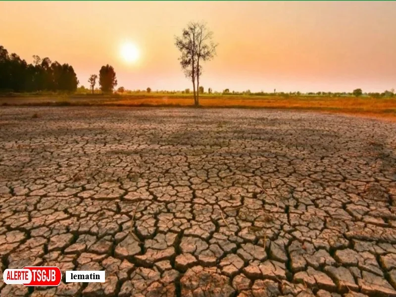 ALERTE TSGJB Campagne agricole 2026-2027 au Maroc : El Nino, pluies et risques de secheresse