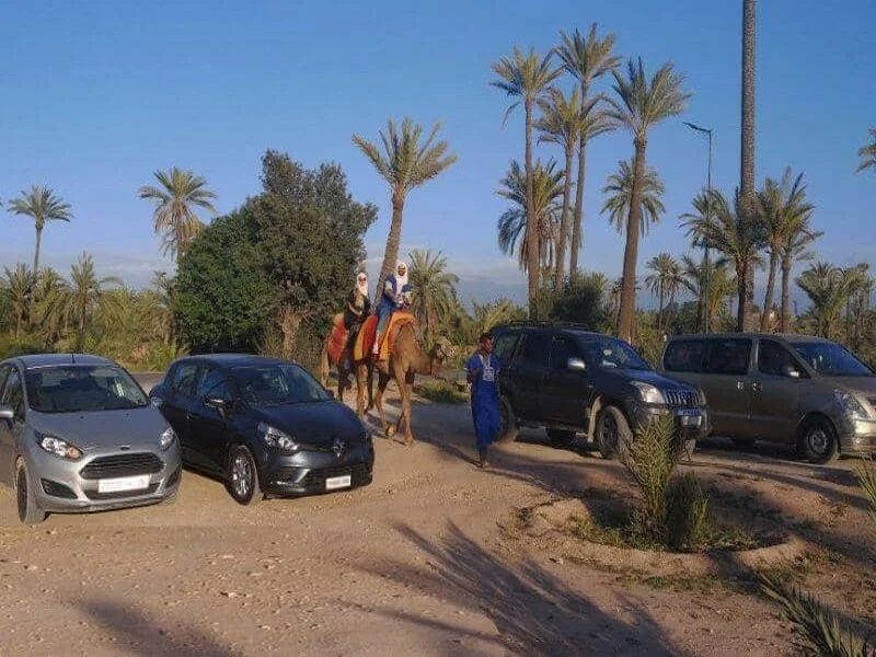 Maroc : mort programmée du secteur de la location de voitures 