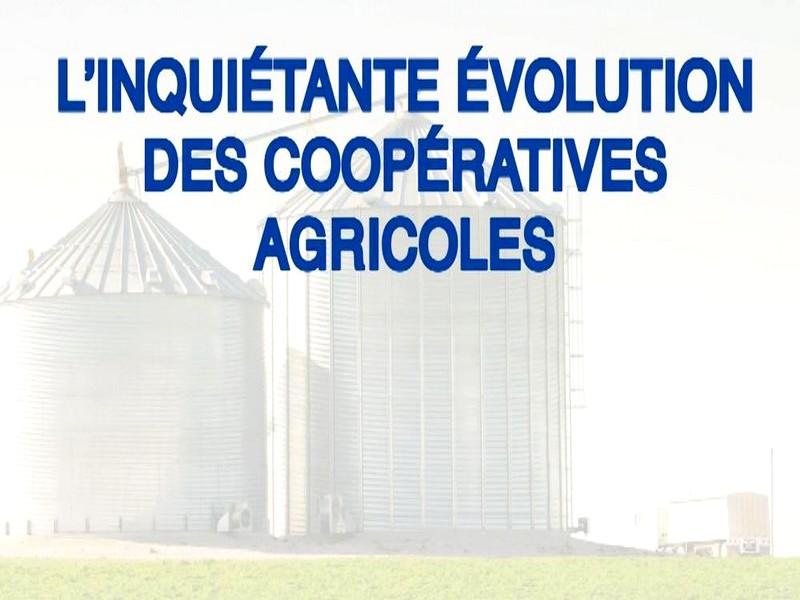 In Vivo, Sodiaal, Tereos : quand les coopératives agricoles deviennent des multinationales aux filières opaques