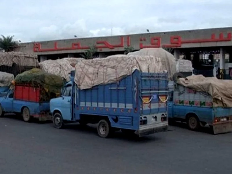 Agrégation agricole : la commercialisation directe des fruits et légumes autorisée dans 28 villes du Maroc