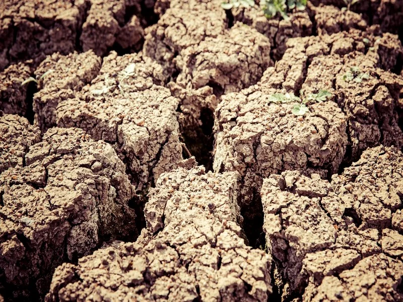 Gestion de l'eau au Maroc : Déclin et priorités face à la sécheresse