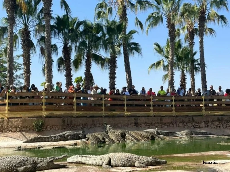 Agadir : Congres mondial des crocodiles 2026 au Crocoparc