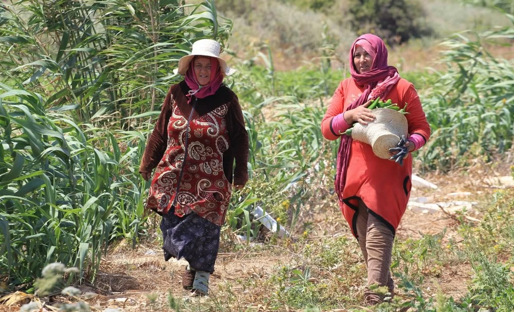 Oasis marocaines : rôle clé des femmes face à la pénurie d’eau