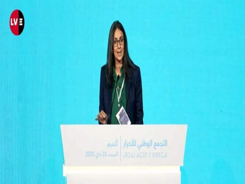Guelmim-Oued Noun : croissance, emplois et projets verts
