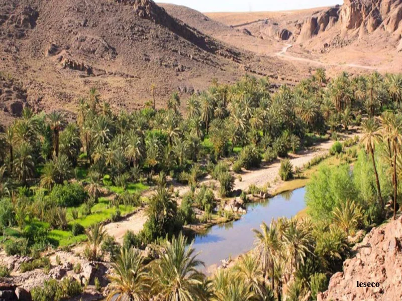 Tata : un hackathon d’innovation numerique pour le developpement durable des oasis