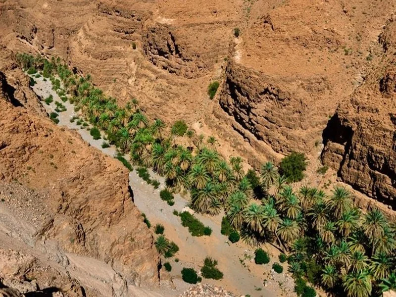 Oasis de Tata, Tissint et région : Des joyaux verdoyants aux portes du désert