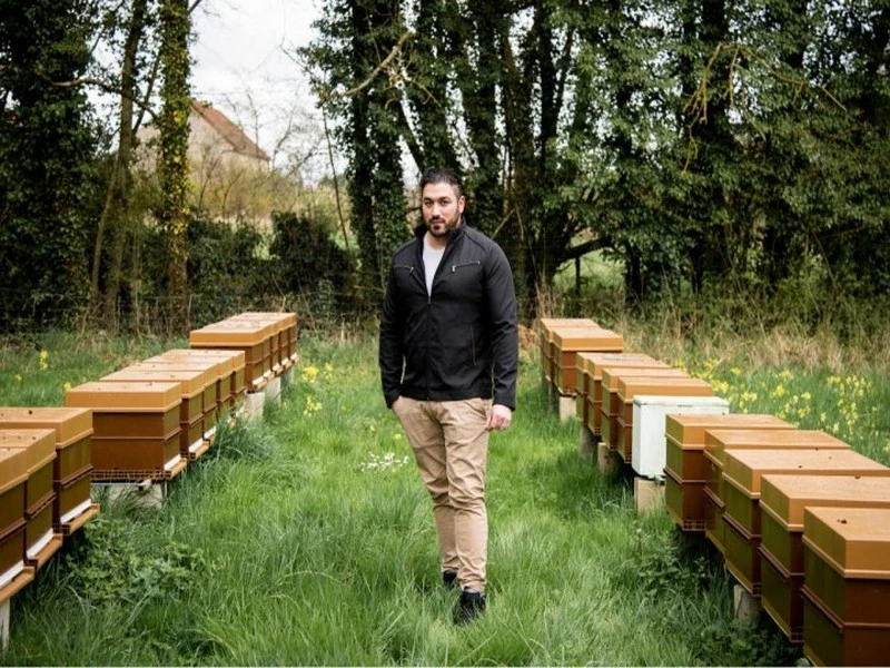 5 millions d’abeilles tuées, un pesticide soupçonné