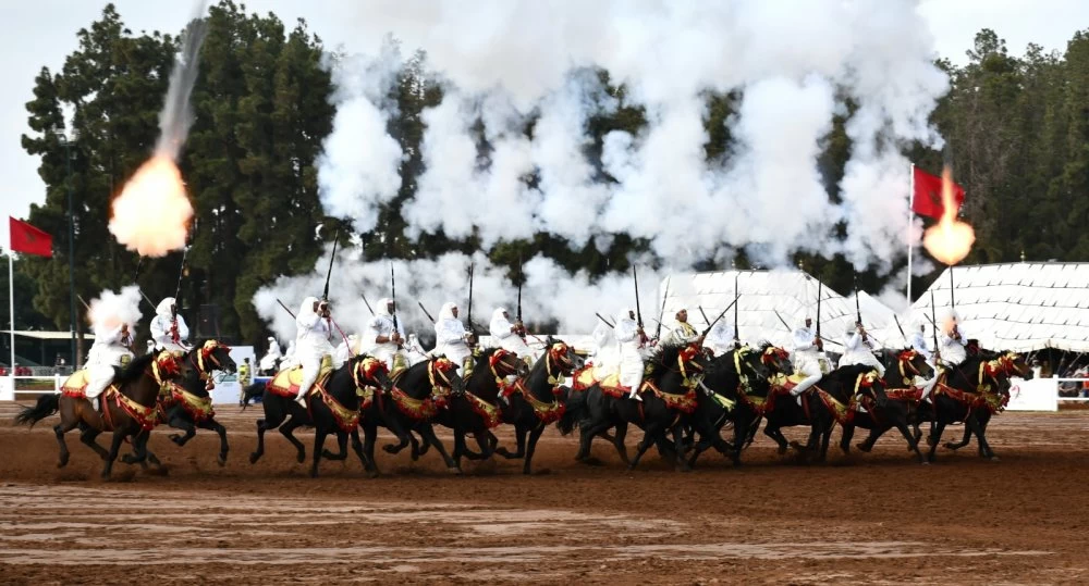 Tbourida 2025 : Berrechid sacré au Trophée Hassan II des arts équestres traditionnels