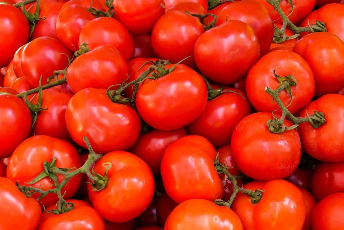 Prix des tomates en chute : 3 à 4 dirhams le kilo au détail 