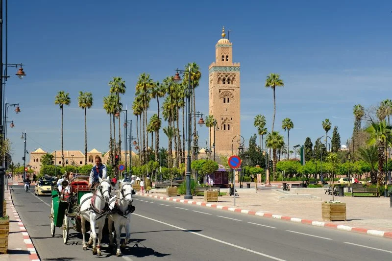 Vers la Construction Accélérée du Palais des Congrès et Parc des Expositions de Marrakech : Les Étapes Cruciales en Cours