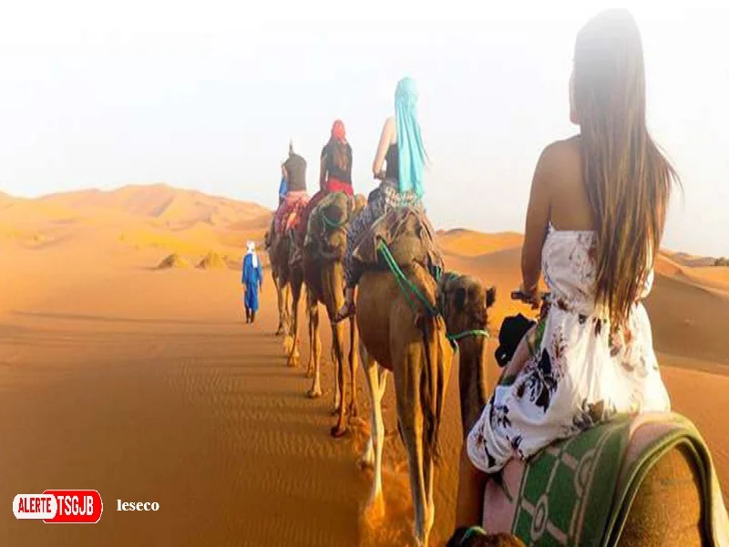 ALERTE TSGJB Tourisme au Maroc : les recettes atteignent 79 milliards de DH et 2026 vise un nouveau record