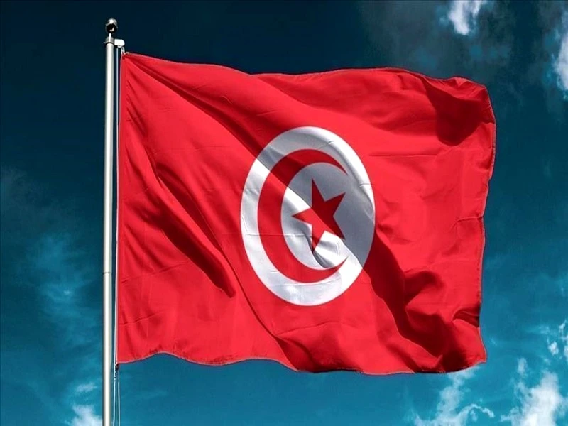 Décarbonation : la Tunisie pourrait réduire à 2% sa dépendance aux imports d’énergie d’ici 2050