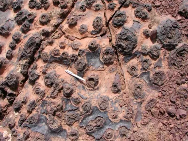 #MAROC_DECOUVERTE_SCIENTIFIQUR: Découverte au Maroc d’une vie microbienne extrémophile datant de 570 millions d’années