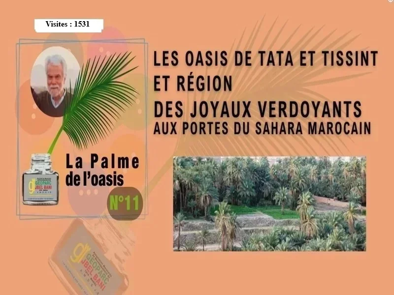 «La Palme de l'Oasis 11> Les Oasis de Tata et Tissint et region, DES JOYAUX VERDOY ANTS AUX PORTES DU SAHARA MAROCAIN