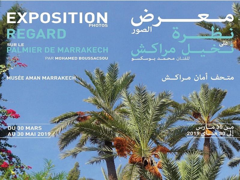 Exposition Photos « Regard sur le palmier de Marrakech »