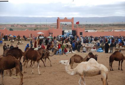 Randonnées Maroc désert, et treks sud marocain