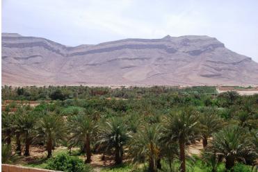 :   Les Oasis marocaines sont en danger