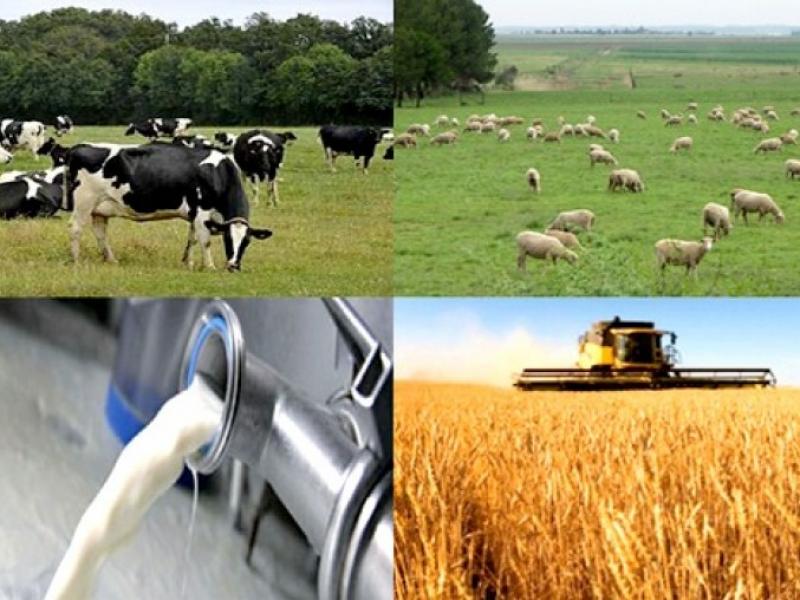 Milieu agricole : GUIDE DE L'INVESTISSEUR