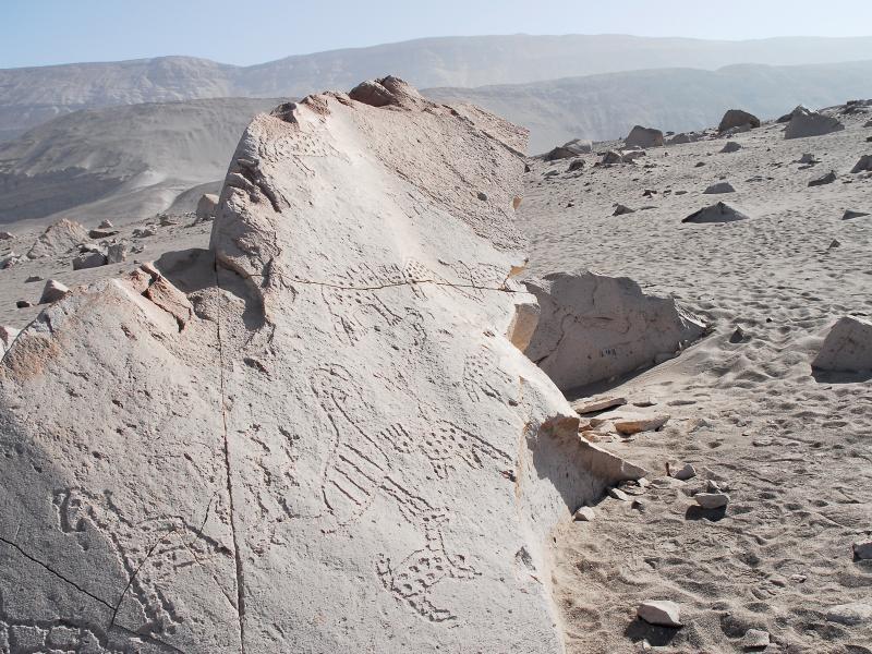 Art rupestre au Maroc / Sahara atlantique marocain - Mauritanie
