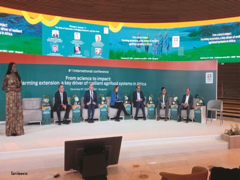 Agriculture durable au Maroc : Al Moutmir et le conseil agricole au cœur de la résilience climatique