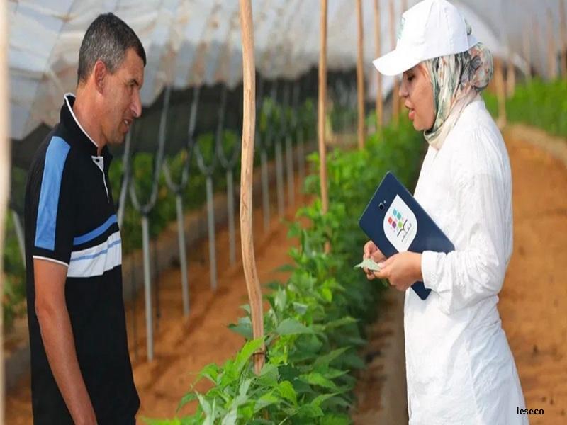 Al Moutmir : l’OCP soutient les femmes rurales marocaines