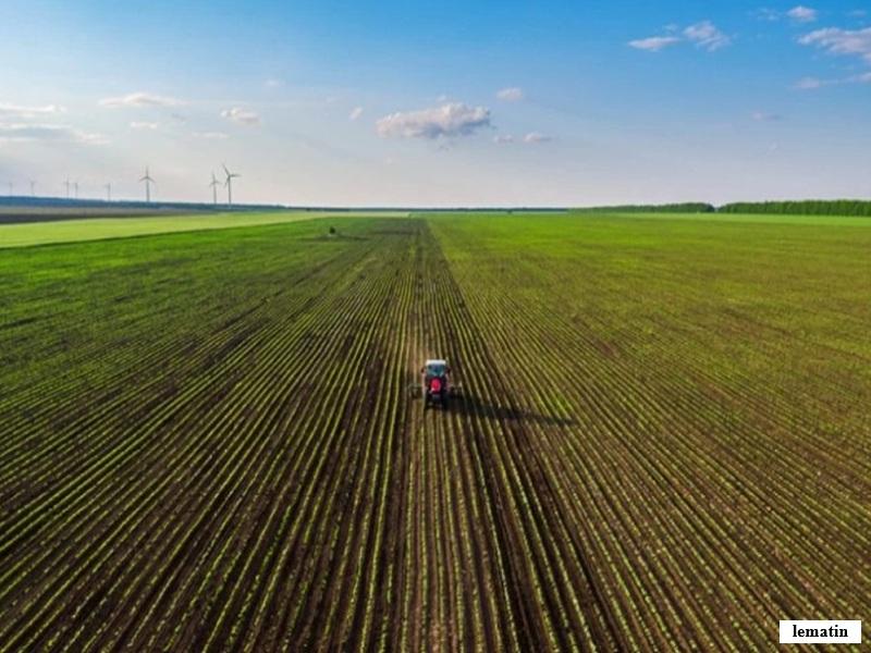 Biodiversite au Maroc : nouvelle strategie nationale 2035 et engagements internationaux