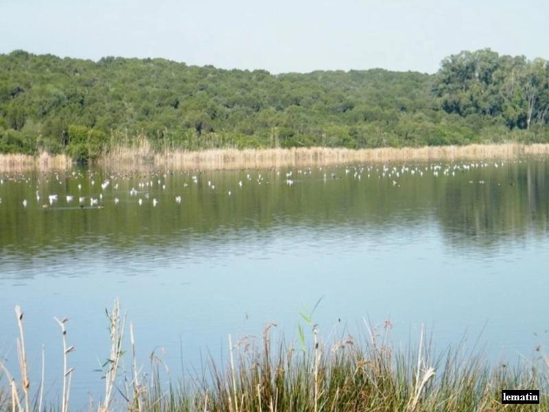 Biodiversite au Maroc : declin alarmant, risques climatiques et urgence de conservation