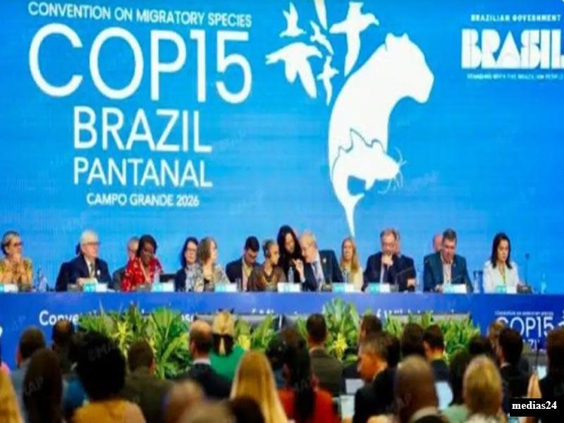 Biodiversite : le Maroc elu au Comite perma  nent de la CMS pour 2026-2028