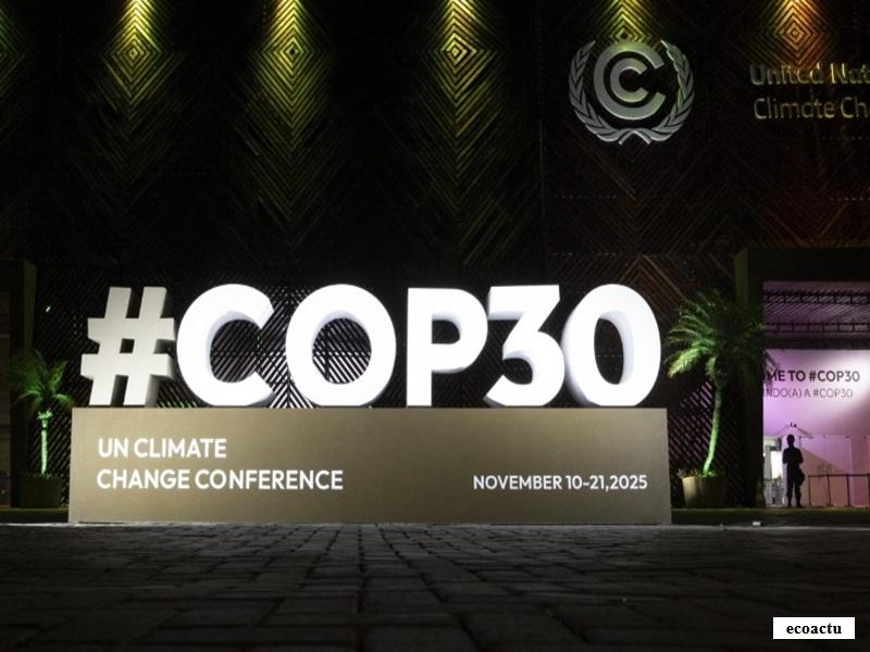  COP30 : l’education climatique et la jeunesse au cœur de la transition vers le Net Zero