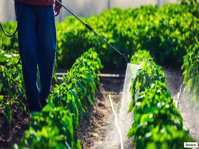 Agriculture durable au Maroc : Marrakech accueille la conference sur les bio-solutions en 2026