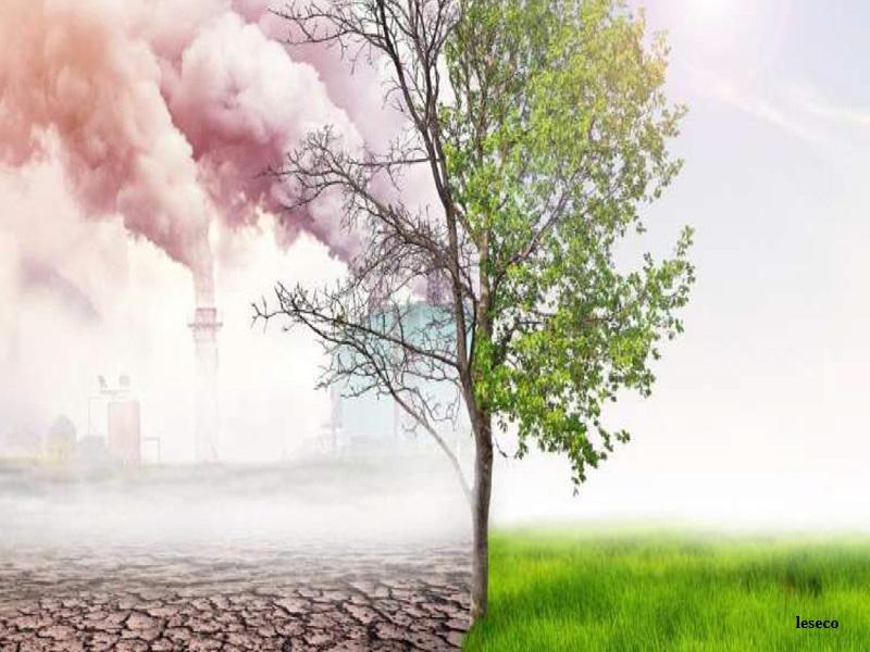 Maroc : 6e mondial au Climate Change Performance Index 2026