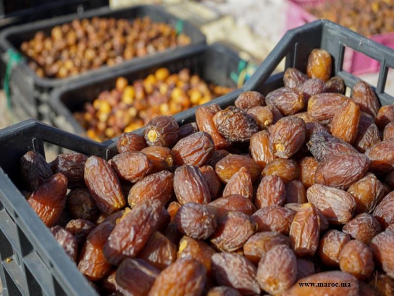 Maroc : la production de dattes atteindra 160.000 tonnes en 2025-2026
