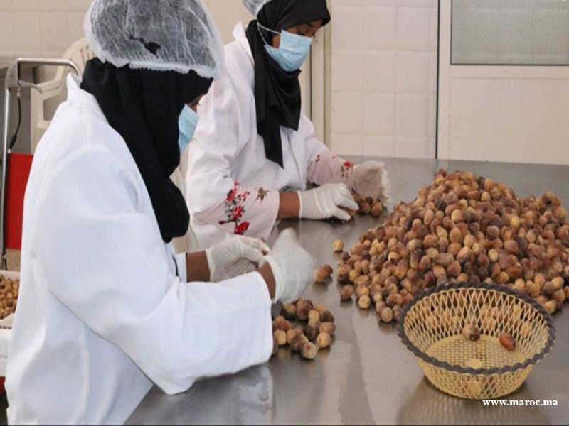 INDH a Tata : appui aux cooperatives feminines et à l’economie sociale