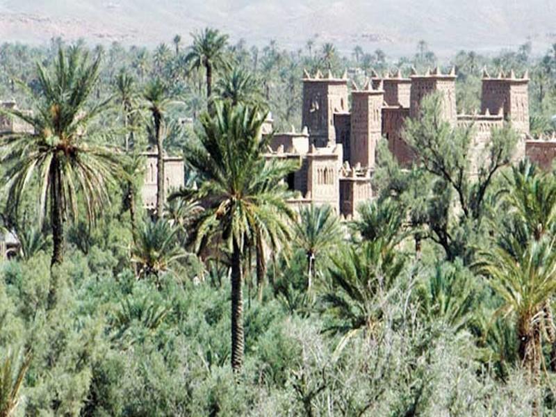 Ouarzazate La palmeraie de Skoura accueille son premier Festival des oasis 