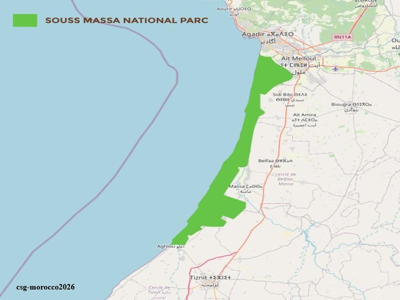 Excursion au Parc national Souss-Massa : faune saharienne et oiseaux rares pres d’Agadir