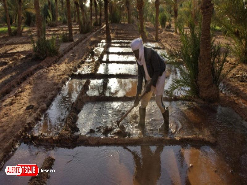 ALERTE TSGJB Oasis de Tata : rehabilitation des seguias pour preserver l’irrigation traditionnelle et l’agriculture