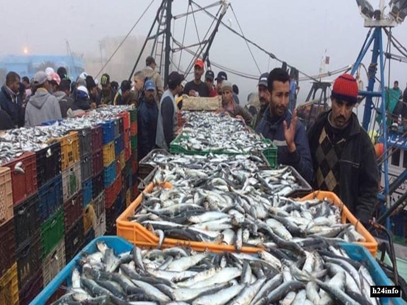 Tan-Tan : +65 % de pêche côtière et artisanale en 2025