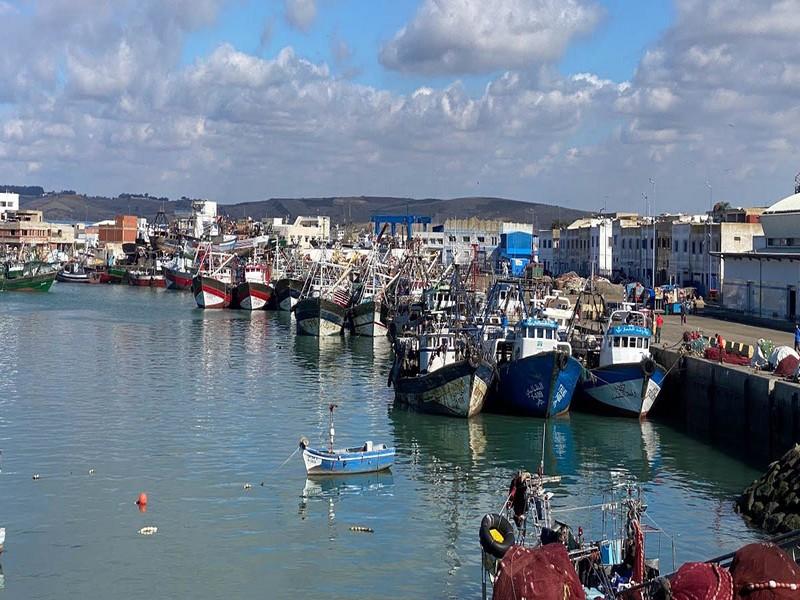 Hausse de 2% des débarquements de la pêche côtière et artisanale au Maroc à fin septembre 2024, malgré un recul des valeurs marchandes