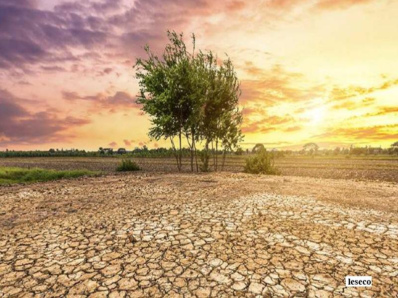 Maroc : vers un cadre juridique pour la transparence climatique et l’Accord de Paris
