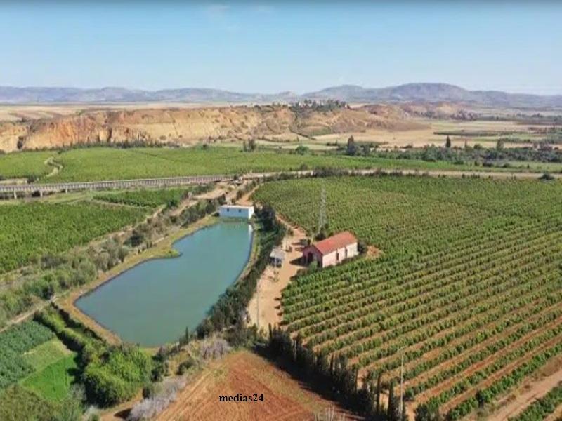 Souss-Massa : des pluies exceptionnelles relancent l’agriculture et les barrages